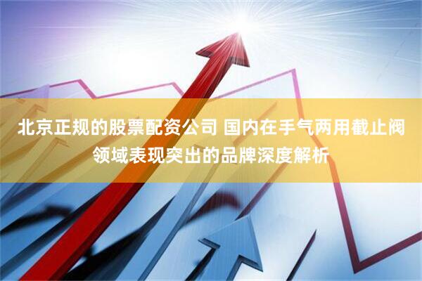 北京正规的股票配资公司 国内在手气两用截止阀领域表现突出的品牌深度解析